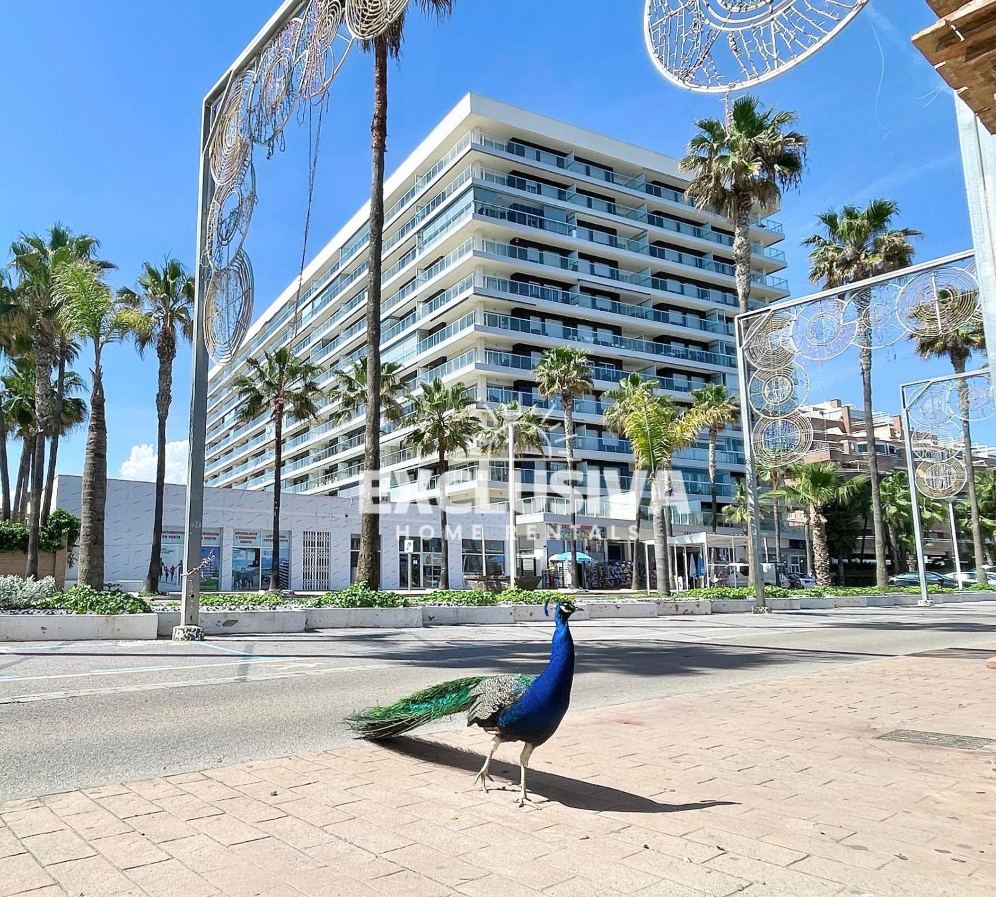 Apartamento Albamarina, 1ªlinea, Magic World, Vistas Al Mar! โอโรเปซาเดลมาร์ ภายนอก รูปภาพ